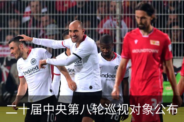 二十届中央第八轮巡视对象公布