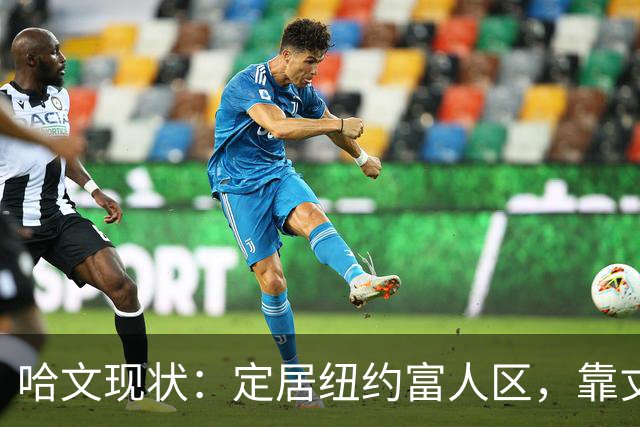 哈文现状：定居纽约富人区，靠丈夫遗产和女儿很潇洒，没有再婚