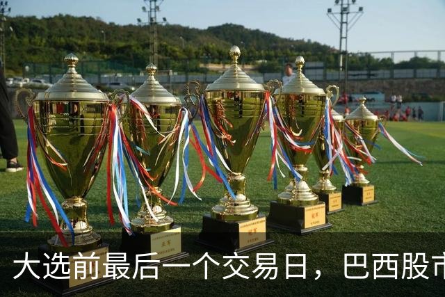 大选前最后一个交易日，巴西股市汇市双双大涨，多项民调最新出炉
