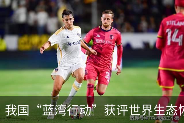 我国“蓝湾行动”获评世界生态恢复旗舰项目