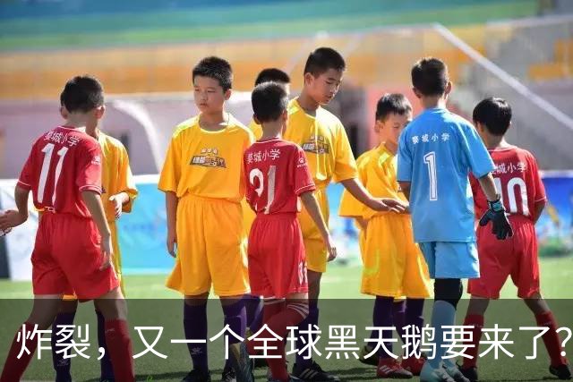 炸裂，又一个全球黑天鹅要来了？