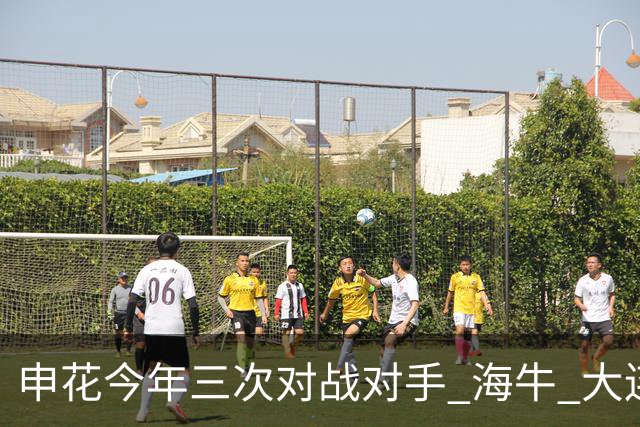 申花今年三次对战对手 海牛 大连 町田 输得最痛心 还得是足协杯8强赛