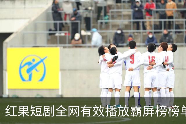 红果短剧全网有效播放霸屏榜榜单，第一名播放量3.26亿，位列榜首