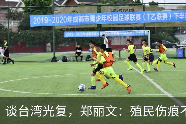 谈台湾光复，郑丽文：殖民伤痕不应被美化，记取教训免于重蹈覆辙