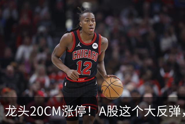 龙头20CM涨停！A股这个大反弹，太提气了！